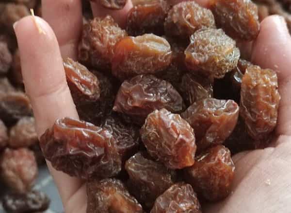 تصویر 5 از قیمت خرید آلو بخارا گوگردی + فروش ویژه